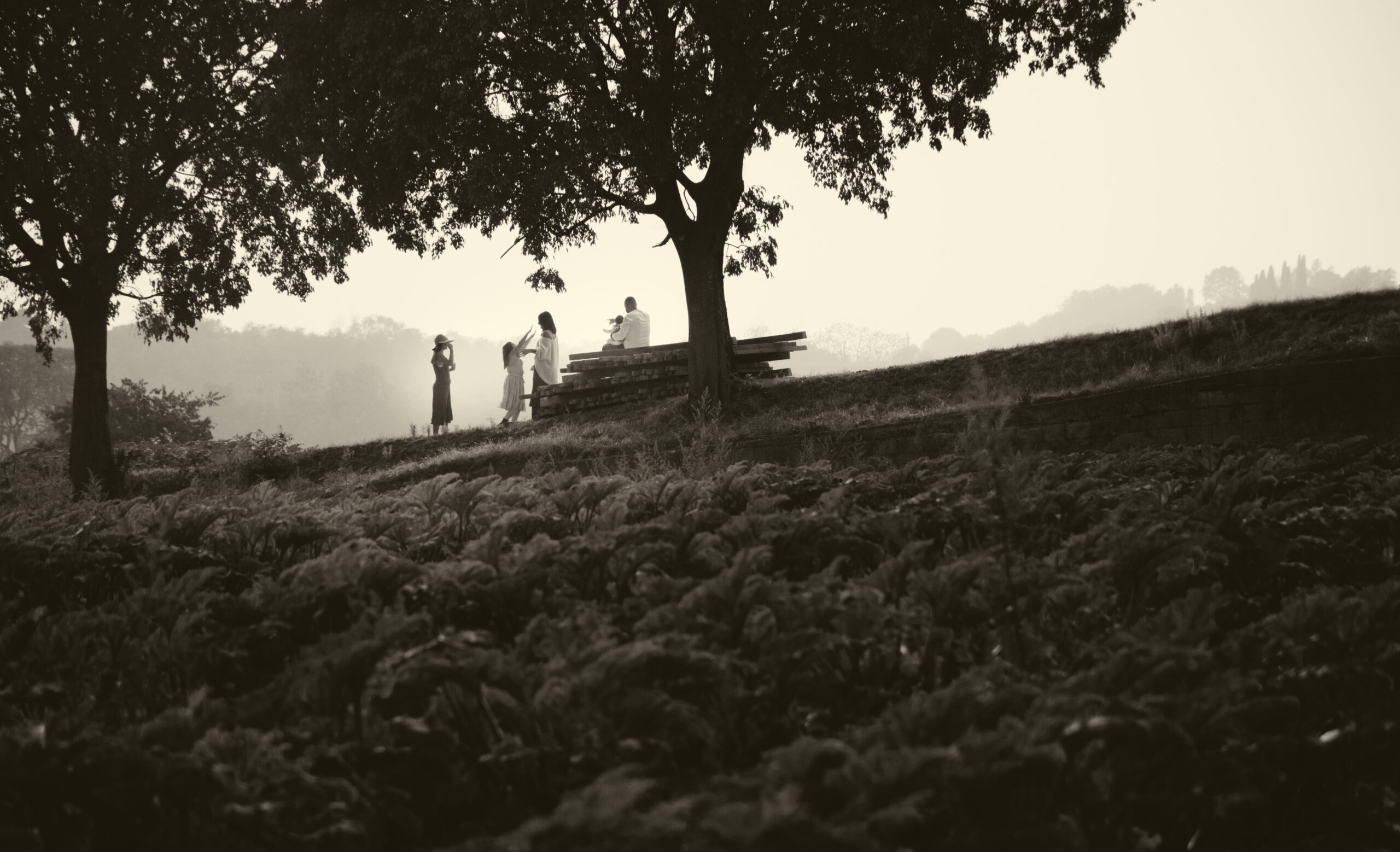 servizio di famiglia in esterna al tramonto